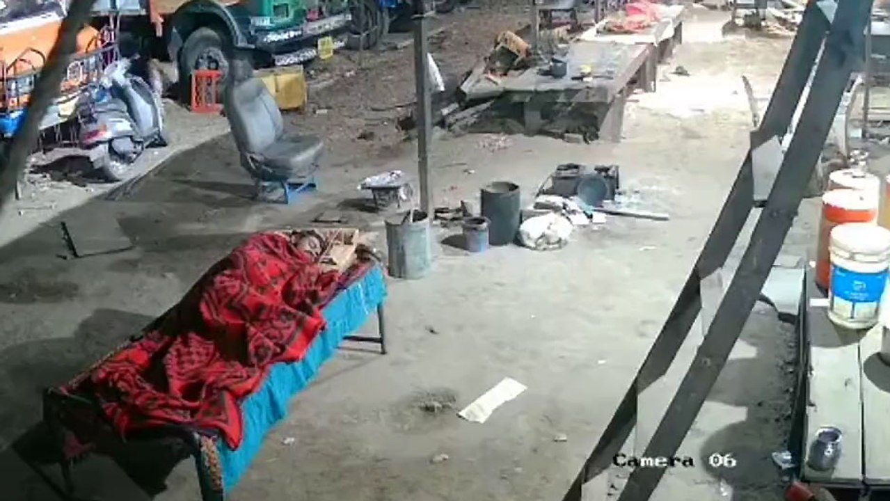 Un léopard vole un chien endormi