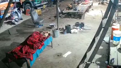 Incroyable : un léopard vole un chien endormi 🐆🐶