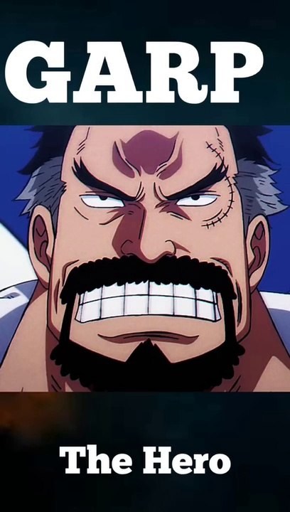 GARP_NOW_vs_GARP_BEFORE