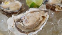 Experts Reveal Potential Dangers Of Eating Raw Oysters!