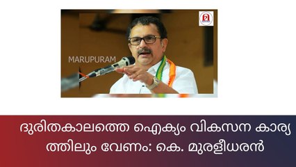 വി​ക​സ​ന കാ​ര്യ​ത്തി​ൽ കേരളത്തിന് ഐ​ക്യം വേണം: കെ. ​മു​ര​ളീ​ധ​ര​ൻ