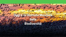 Oggi e' la giornata mondiale della biodiversita'