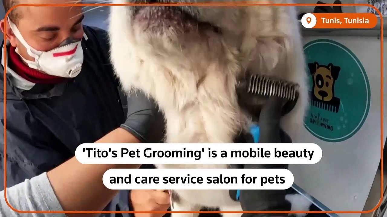 This pet salon roams the streets of Tunisia's capital
