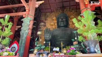 NARA todaiji temple 東大寺