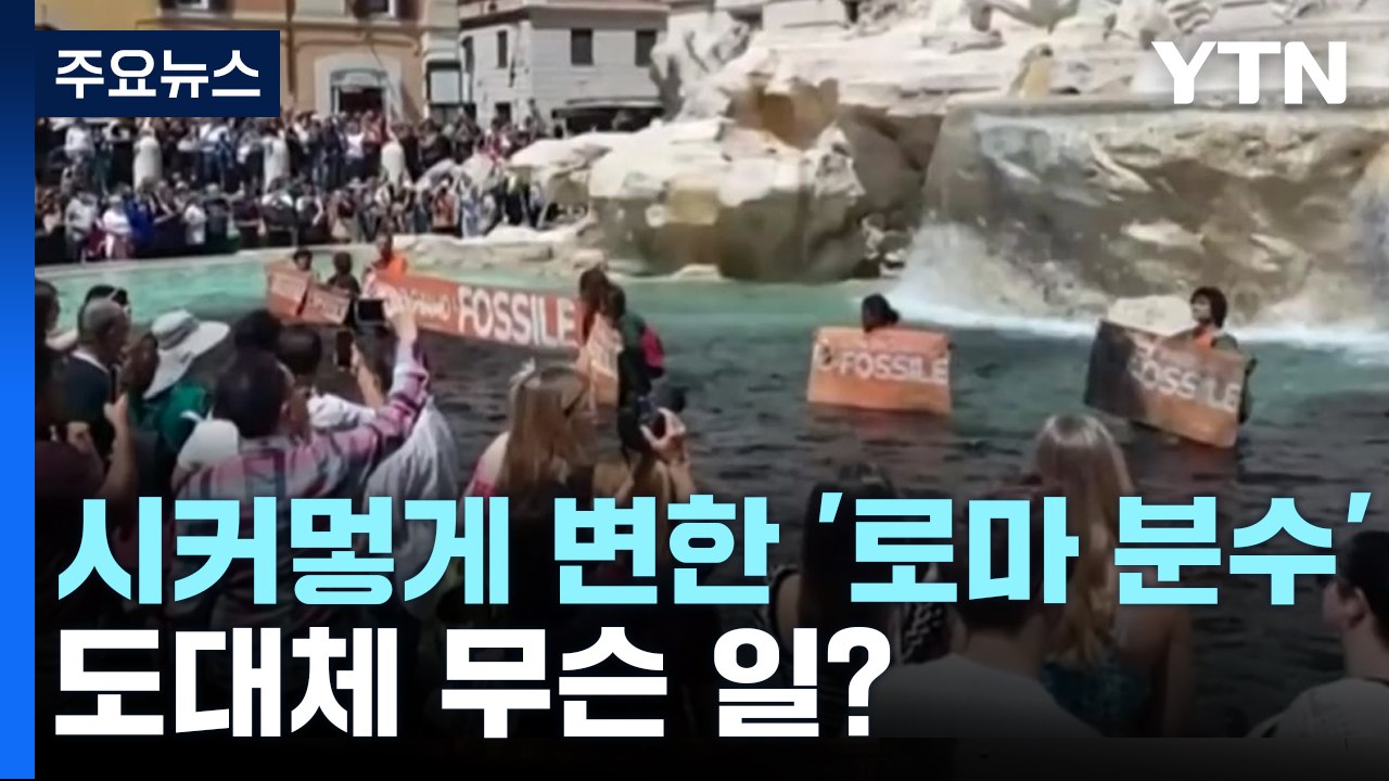 시커멓게 변한 '로마 분수'...환경운동가 먹물 시위 / YTN