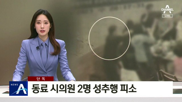 [단독]민주당 시의원, 동료 의원 2명 성추행 혐의 피소