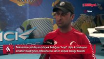 Amatör balıkçının köpek balığı kabusu