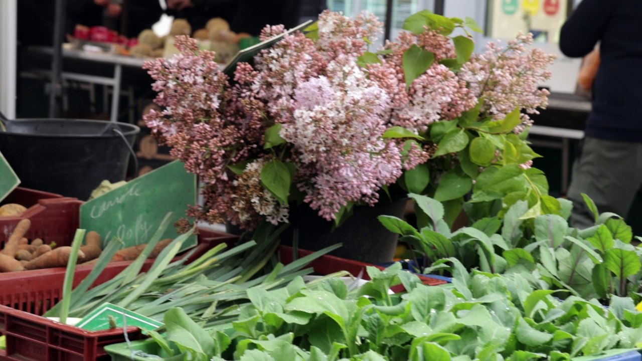 Recettes du marché : Asperges, pomme de terre et fromage blanc à l'honneur sur le marché de Compiègne