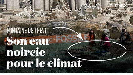 La fontaine de Trevi en Italie noircie par des activistes pour le climat