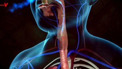 Twice Daily Breathing Exercise Could Reduce Risk of Alzheimer's