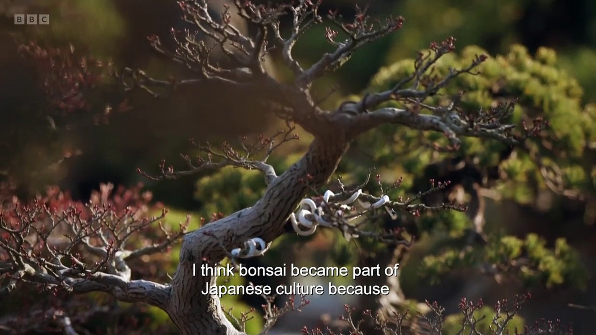 BBC The Art of Japanese Life_01 - video Dailymotion