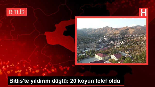 Bitlis'te yıldırım düştü: 20 koyun telef oldu