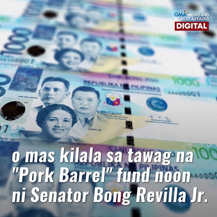 Janet Lim-Napoles, pinawalang-sala ng Sandiganbayan | GMA News Feed