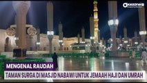 Mengenal Raudah, Taman Surga di Masjid Nabawi untuk Jemaah Haji dan Umrah