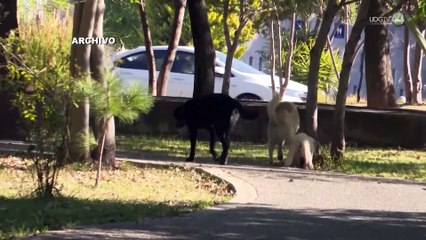 El Instituto Jalisciense de Cirugía Reconstructiva carece de anestesiólogo en fin de semana: SSJ