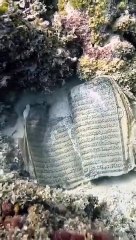 Descargar video: Miracle_of_Quran___Million_Share_Bashak_Subhanallah_#facts_#history_#islam_#Quran_#reels#shorts(360p)