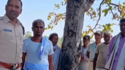 सिंगरौली: पेड़ पर चढ़ी महिला का बैलेंस बिगड़ने से गिरी, हुई मौत