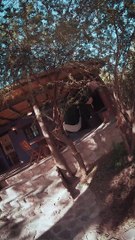 Luminaria Vertical Design ✨