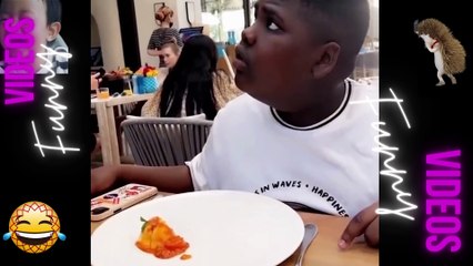 050 Laugh Out Loud Hilarious Videos Guaranteed to Make You Smile