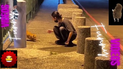 043 Laugh Out Loud Hilarious Videos Guaranteed to Make You Smile