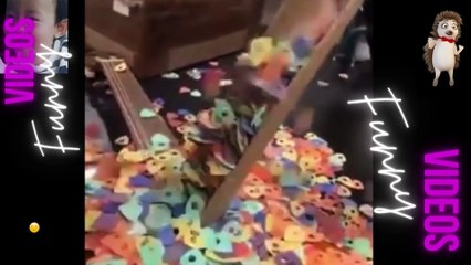 045 Laugh Out Loud Hilarious Videos Guaranteed to Make You Smile