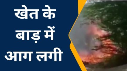 माण्‍डल: खेत के बाड़े में लगी आग, चारा जलकर हुआ खाक