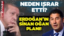 Erdoğan'ın Sinan Oğan Planını Tek Tek Anlattı! Gündem Olacak Yorum