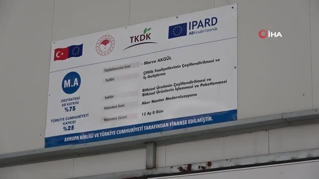 Yozgat'ta üretilen mantar, Karadeniz ve Doğu Anadolu Bölgesi'nin ihtiyacını karşılıyor