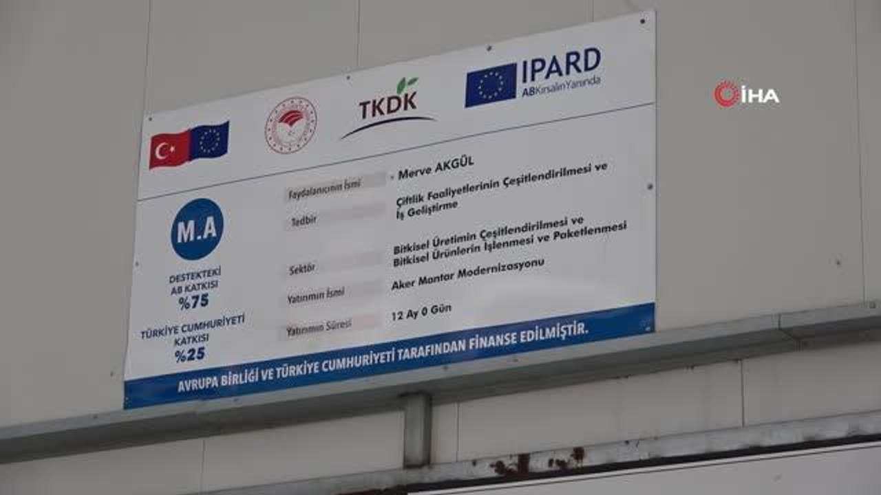 Yozgat'ta üretilen mantar, Karadeniz ve Doğu Anadolu Bölgesi'nin ihtiyacını karşılıyor