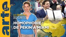 Homophobie : de Pékin à Miami - Le dessous des cartes - L'essentiel | ARTE