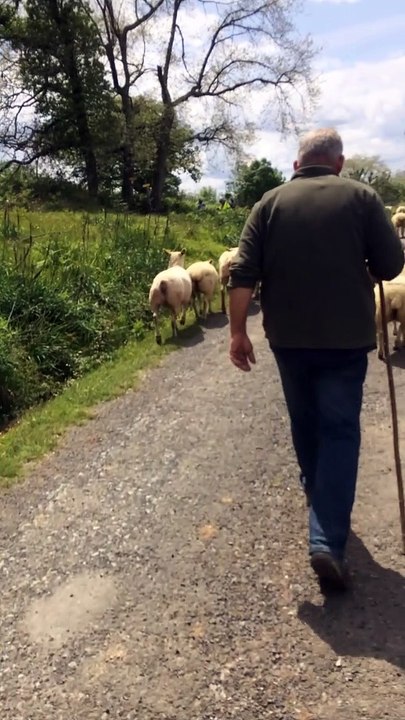 Petite halte avant la montée du pic d'Arradoy ( 600m d'altitude)