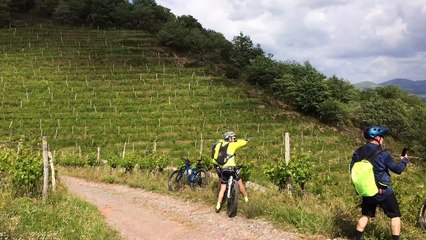 1er jour Jeudi - retour par les vignobles basques