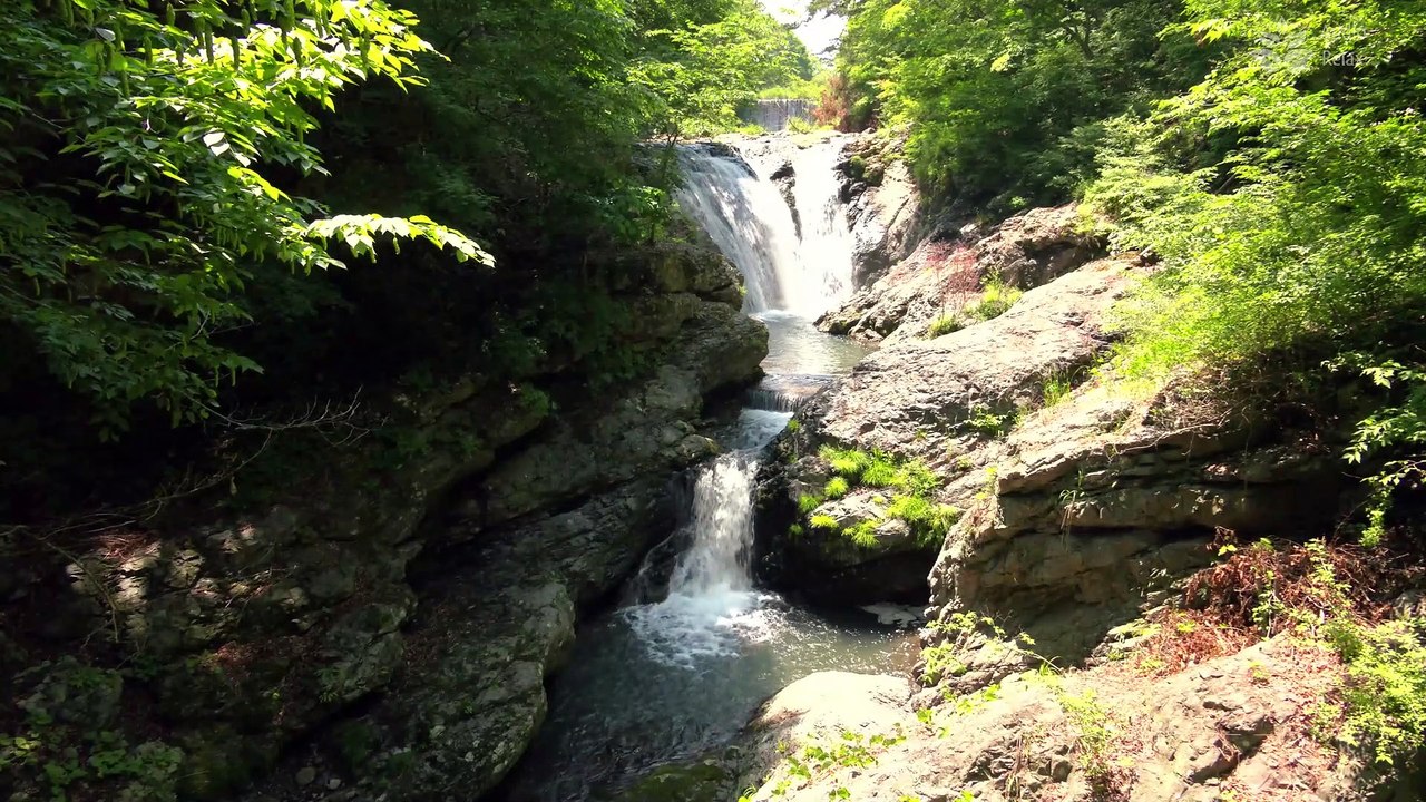 Enchanting Gorge: 1 Hour of Serene Mountain River and Waterfalls