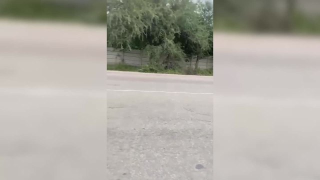 Javier Mascherano, DT de Argentina Sub-20, volvió corriendo del estadio al hotel de concentración