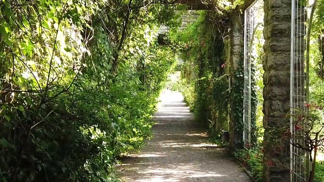 Ambient Vol. 3-03 (The Garden)