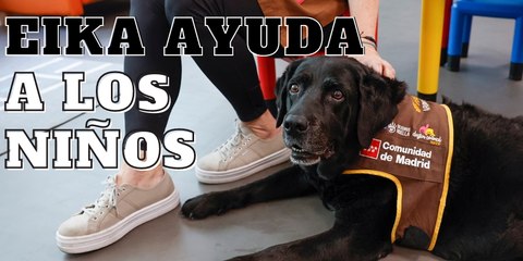 Proyecto "Perros apoyan a menores en juzgados" en Madrid | EXPRESO