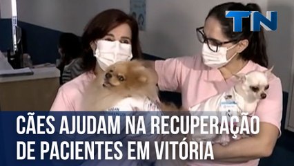 Cães ajudam na recuperação de pacientes em Vitória
