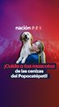 ¡Cuida a tus mascotas de las cenizas del Popocatépetl!