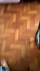 Innocent Dog Surrounded By Trash