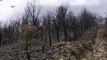 Autarca de Murça exige ao Governo pagamento das despesas relativas aos incêndios do ano passado