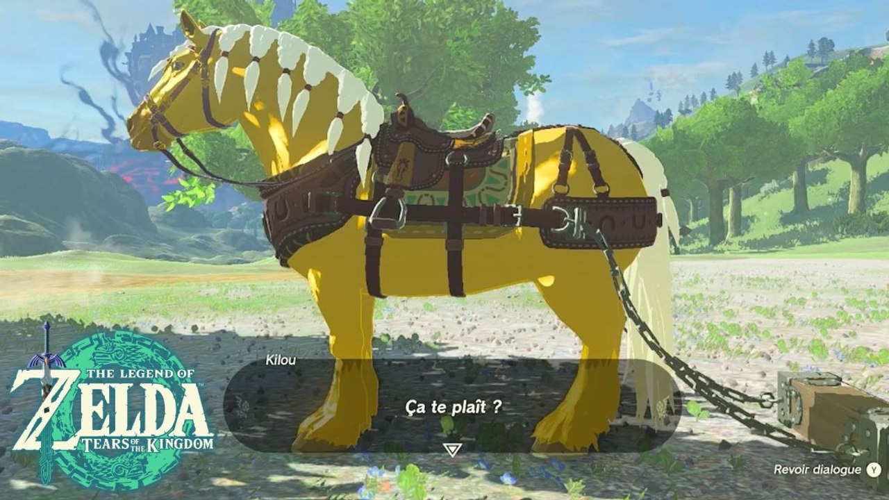 Harnais Zelda Tears of the Kingdom : Comment obtenir et utiliser le harnais d'attelage sur votre cheval ?