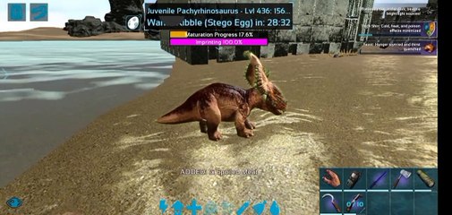 Breeding pachyrhinosaurus and it's baby