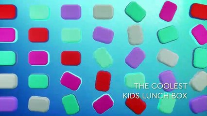 Solución de almuerzo estilo bento con 4 compartimentos