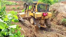 D6R XL Bulldozer Operator Skills to Make Terraces in Palm Oil Plantations