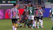 Campeonato Brasileiro 2021  Palmeiras x Atlético-MG (35ª r) com Milton Leite (SporTV) jogo completo
