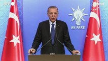 Erdogan incassa il sostegno di Ogan e vede la vittoria