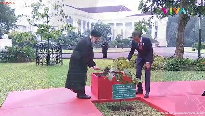 Hangatnya Presiden Iran dan Jokowi Tanam Pohon Bersama