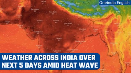 Video herunterladen: Heatwave sweeps north India, temperature crosses 46°C in Delhi | IMD issues alert | Oneindia News