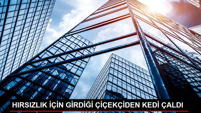 HIRSIZLIK İÇİN GİRDİĞİ ÇİÇEKÇİDEN KEDİ ÇALDI