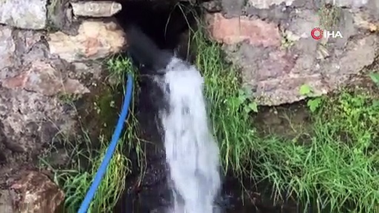 Bin 300 rakımda yetiştirilen çilek çiftçinin yüzünü güldürüyor